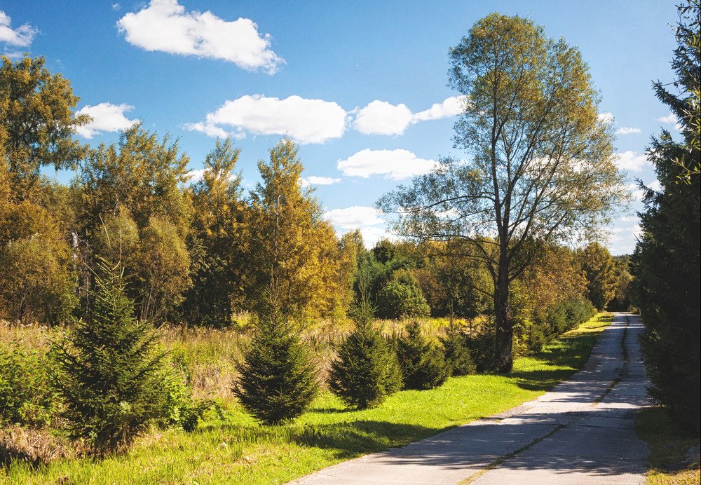 Photograph by Константин Лившиц