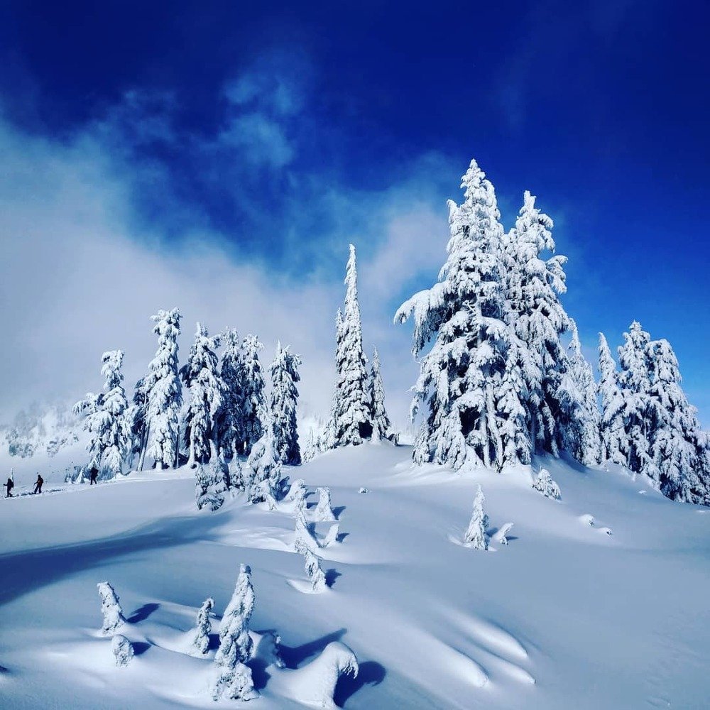 St.Washington,Artist point.