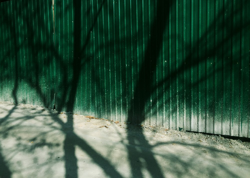 Photograph by Амалия