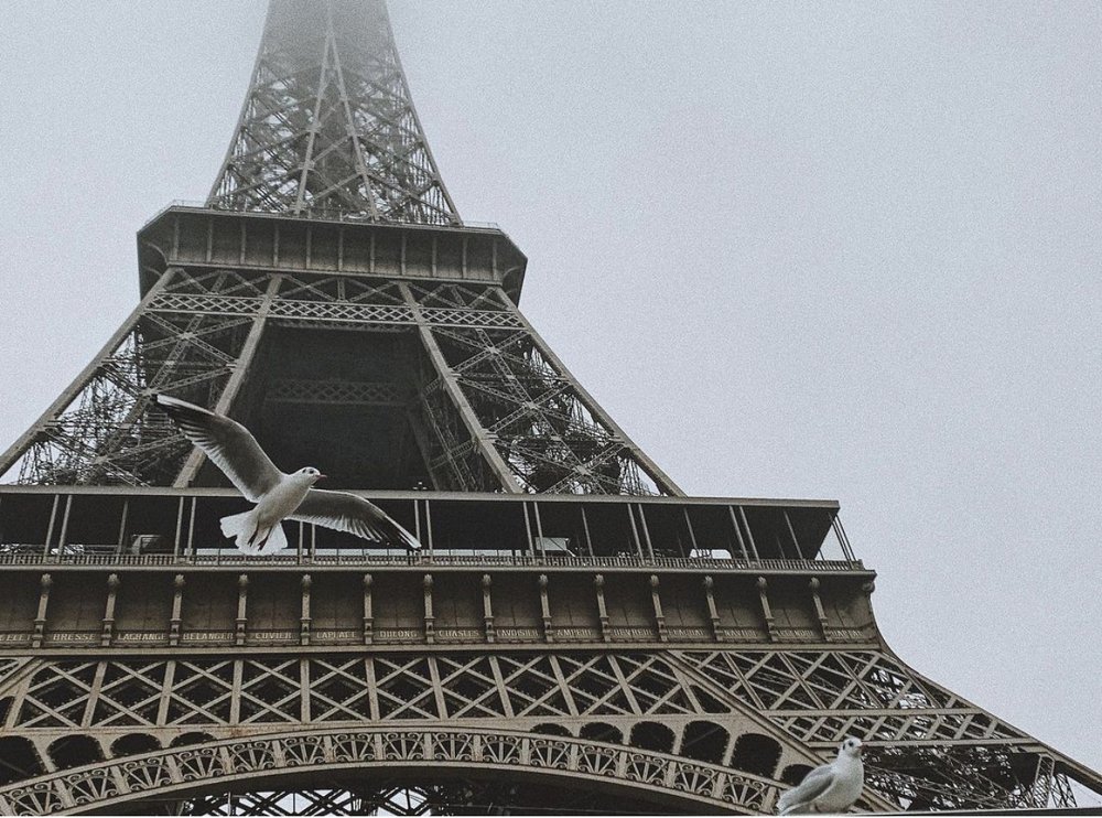 Photograph by Елена Никашкина