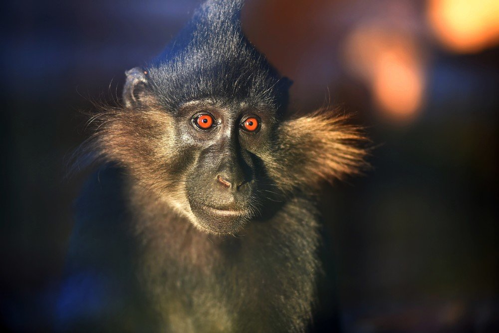 Photograph by Павло Березюк