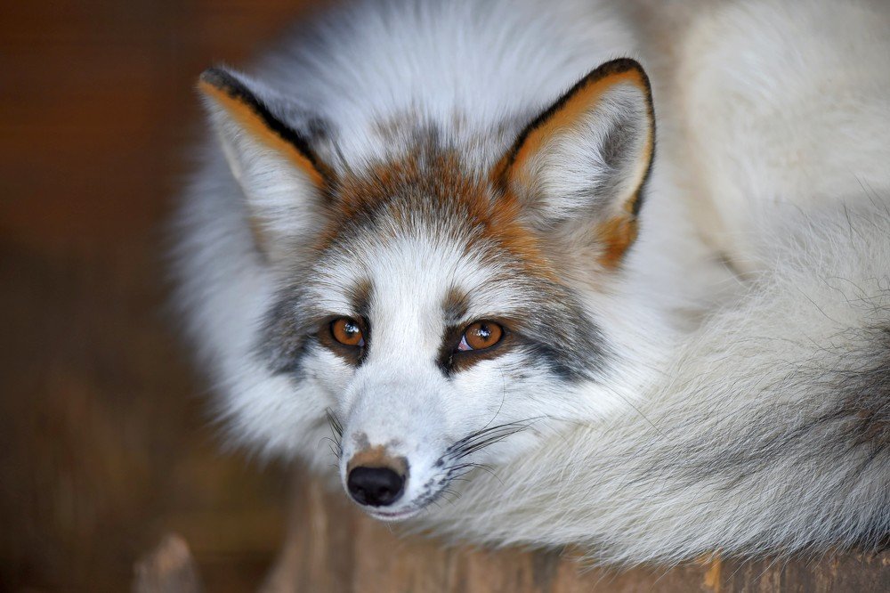 Photograph by Павло Березюк