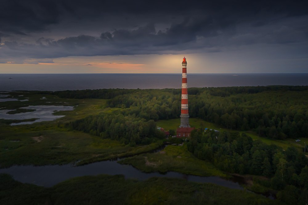Фотография автора Светлана Морозова