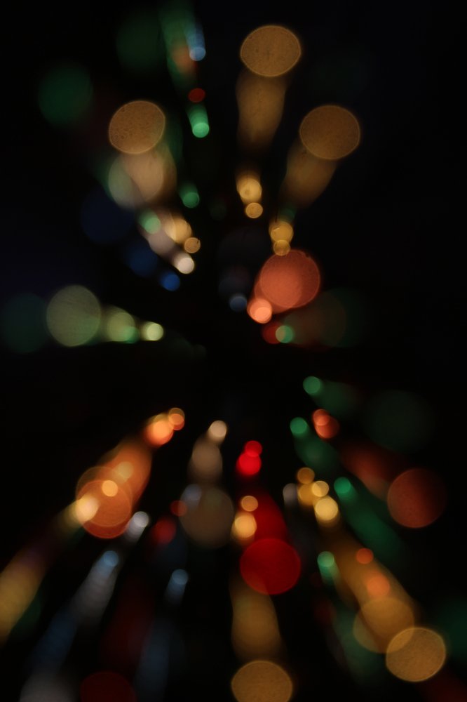 Фотография автора Анна Кравченко