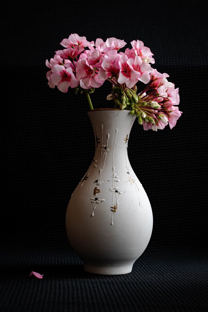 Photograph by Лариса