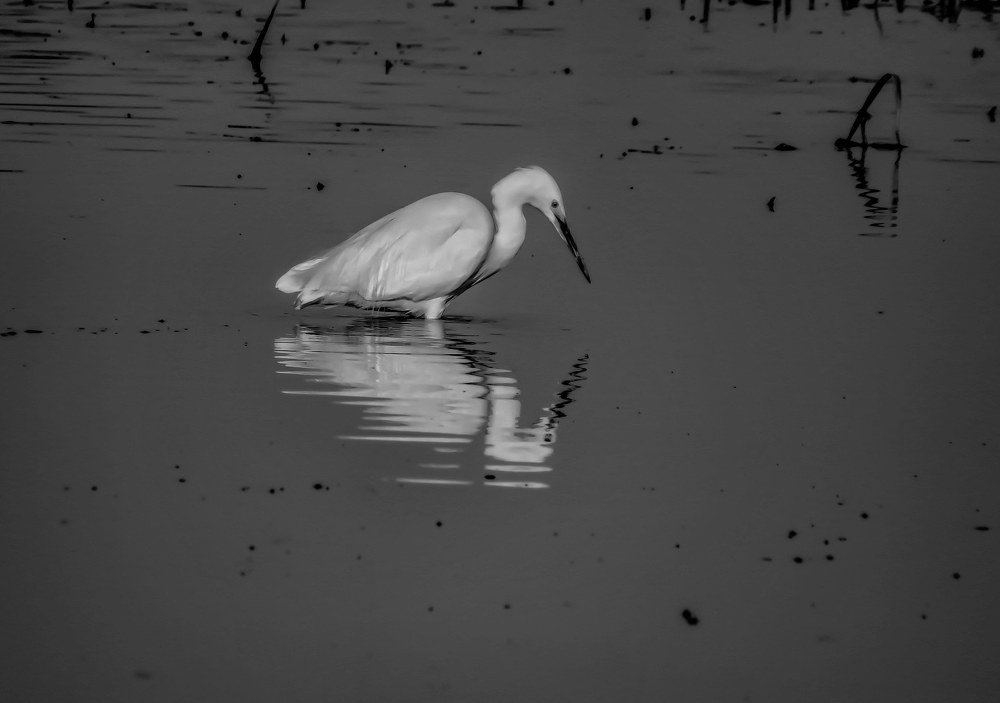 Photograph by Alin Cota