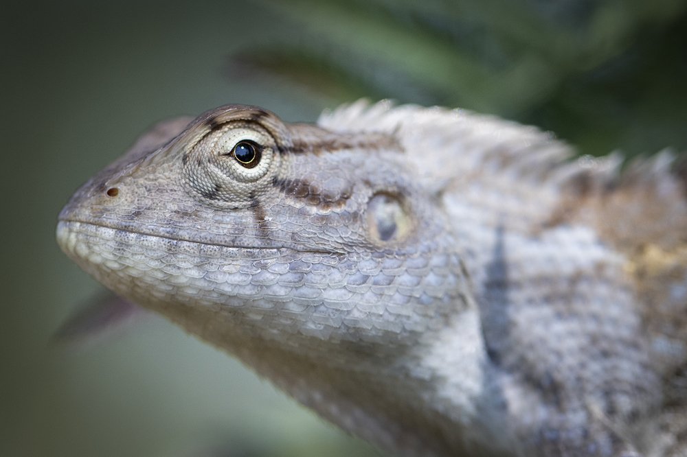 Photograph by Hemraj Chavhan A