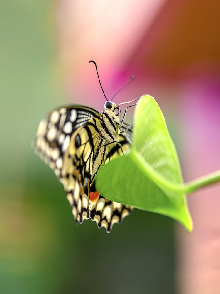 Photograph by Сергей Газизов