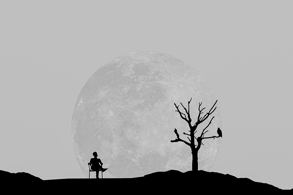 Photograph by Ebrahim Rahiminezhad