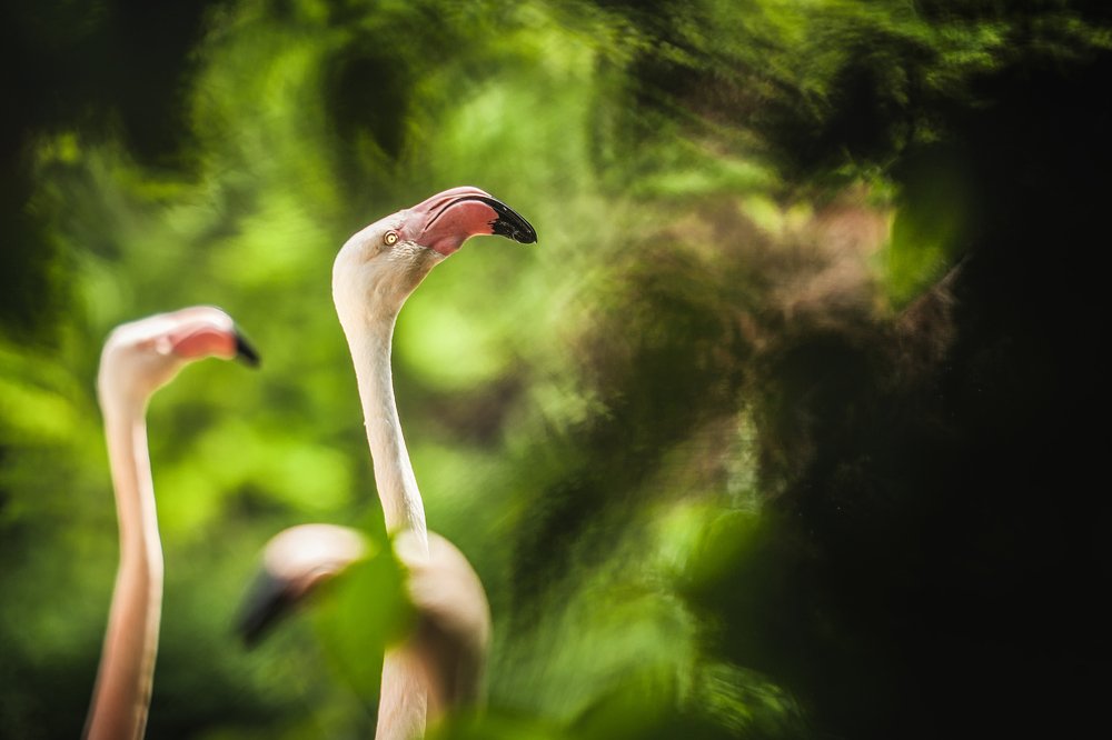 Photograph by Nikol Kopp