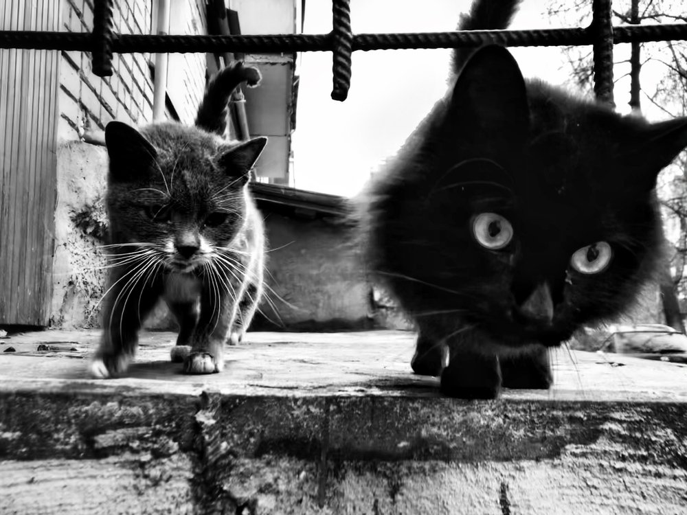 Photograph by Анна Зеленина