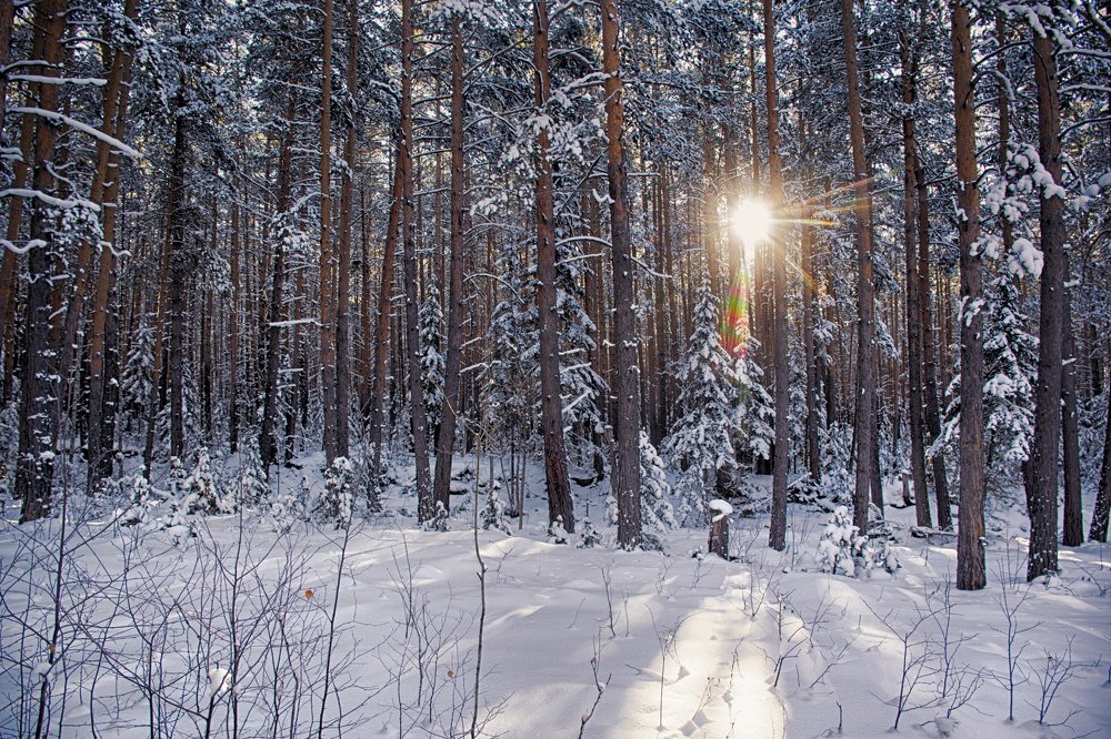 Photograph by Александр Староверов