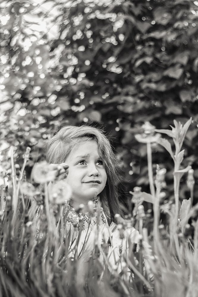 Photograph by Инна Тычная