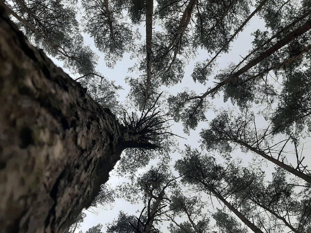 Photograph by Оксана Корепанова