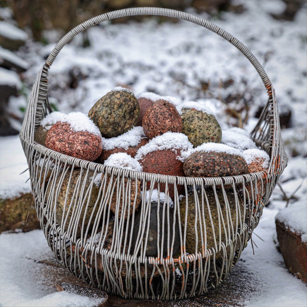 stone potatoes in winter   ...