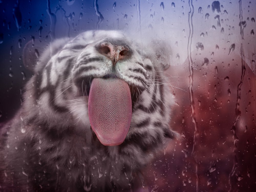 Искусство языка