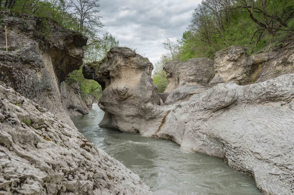 Photograph by mikhail goryachev