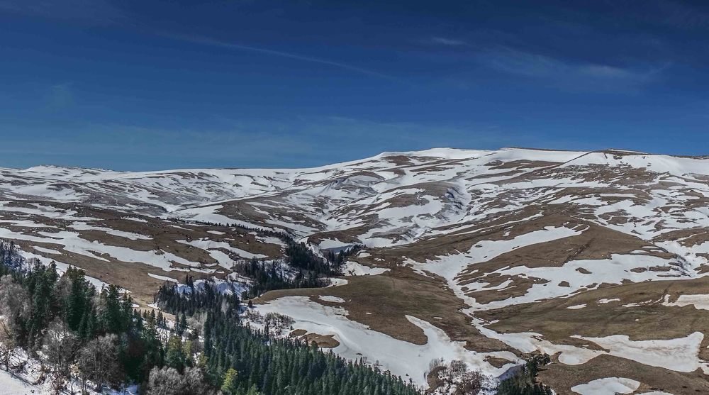 Photograph by mikhail goryachev