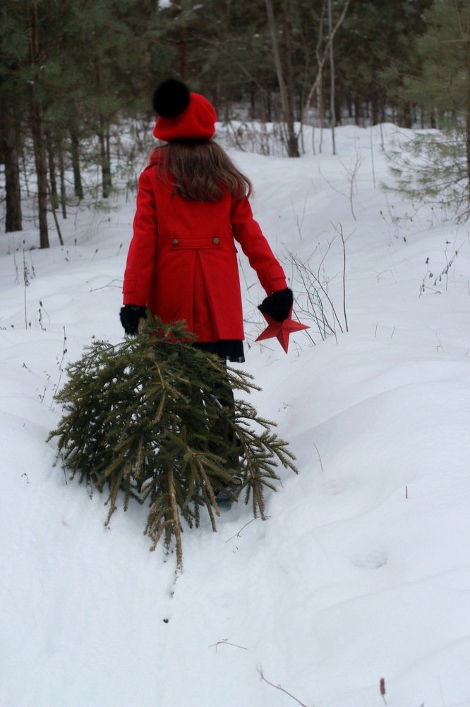 Photograph by Татьяна Аксёнова