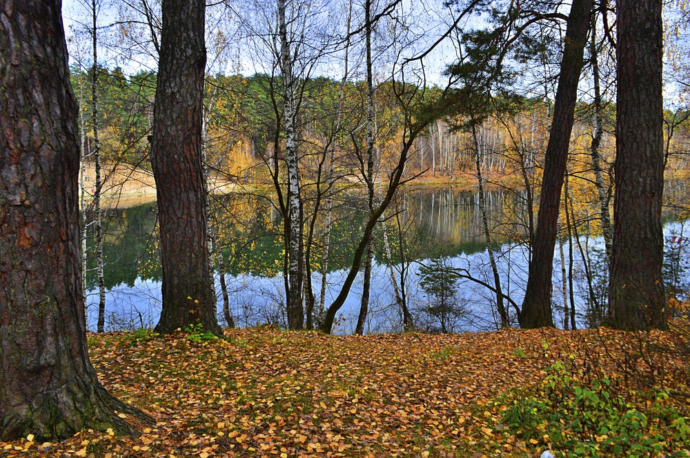 Фотография автора Клавдия Васильева
