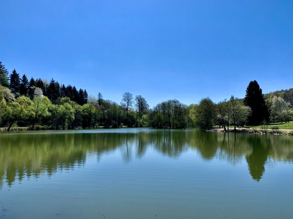 Photograph by Swetlana Lebedev