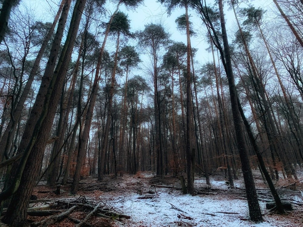 Photograph by Swetlana Lebedev