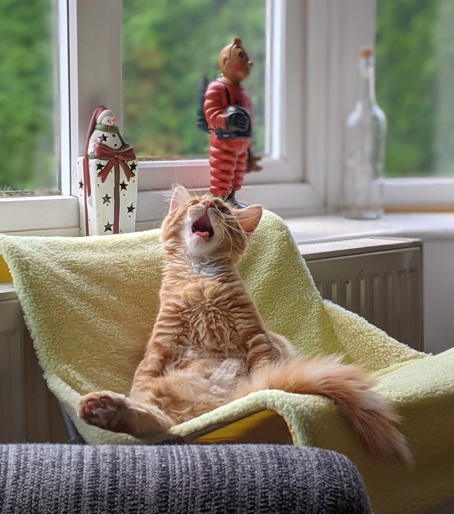 Sing as if No-one is Watching