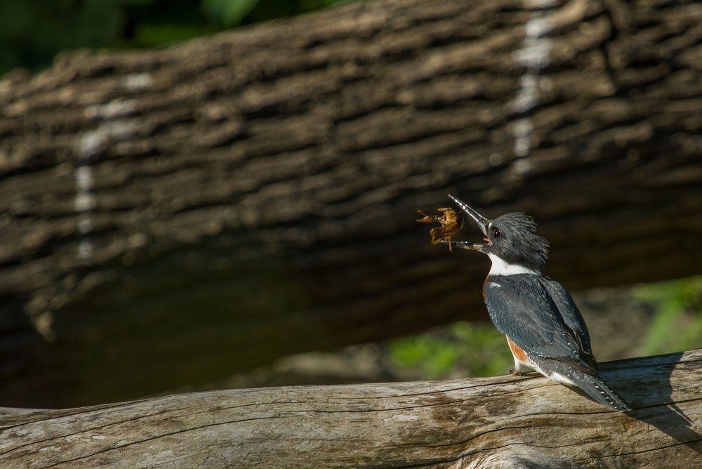 Photograph by Dmitry Poglot