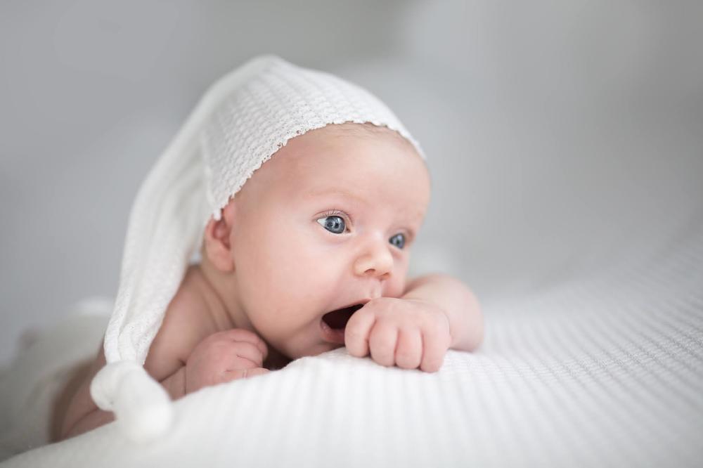 Photograph by Elena Hasnas