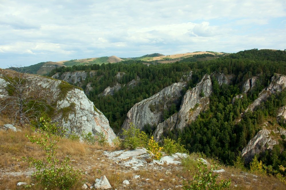 Photograph by Наталья Соболева