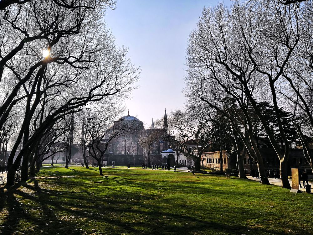 Photograph by Виталий Бараковский