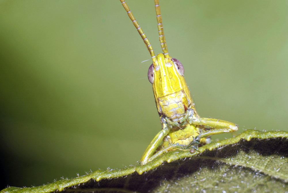 Photograph by Алексей Мехедов