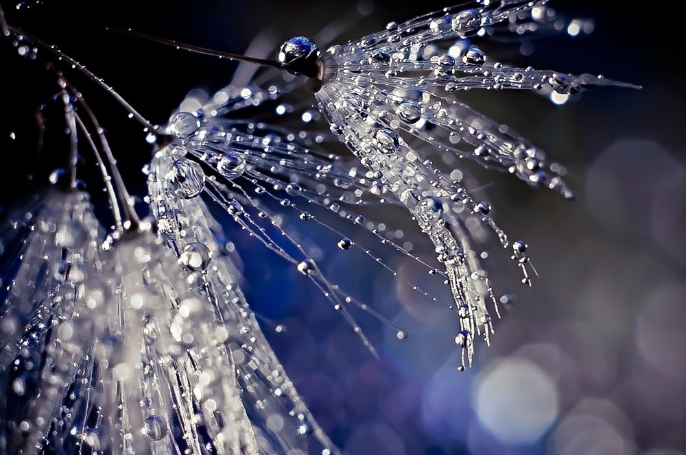 Сказочные колокольчики