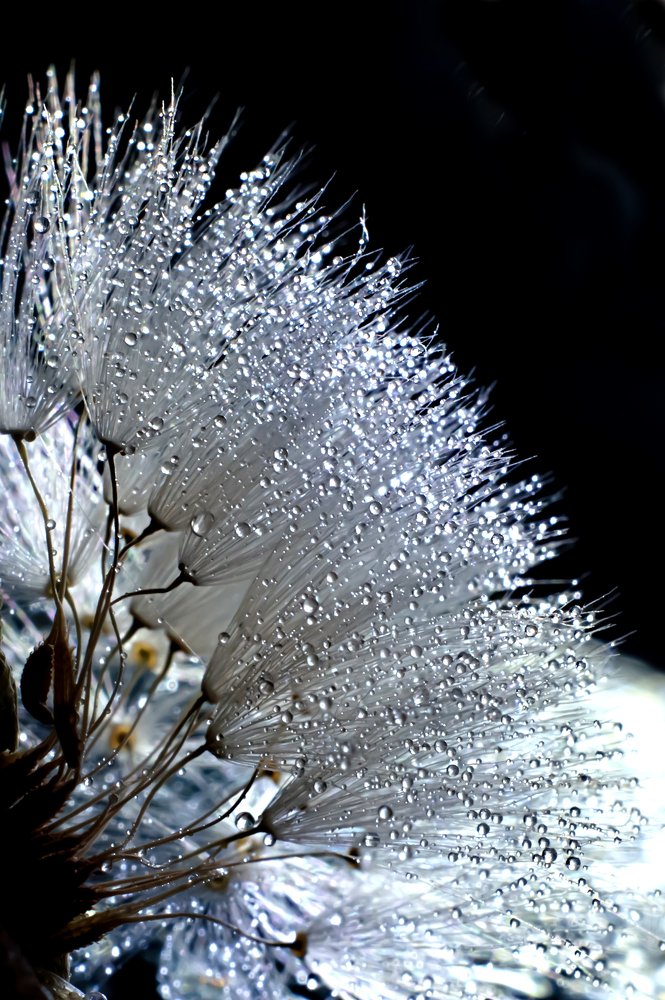 По ту сторону арбиты