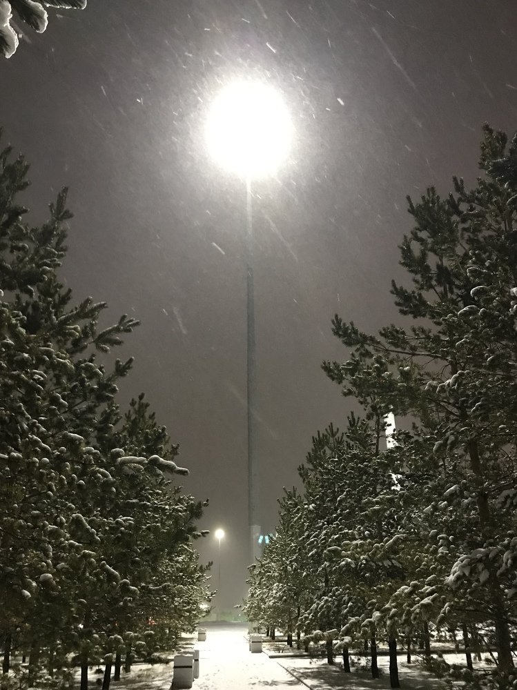 Photograph by Anar K. Amirova