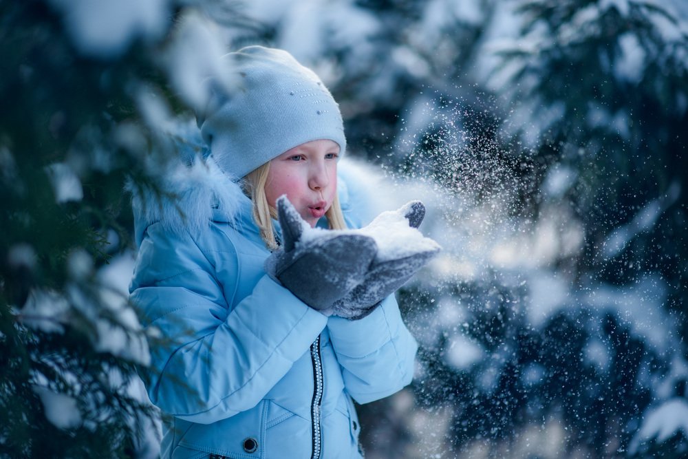 Приключения в зимнем лесу