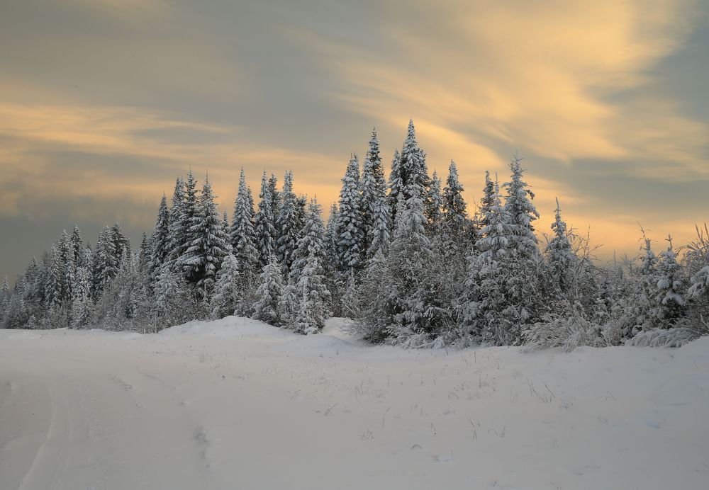 Фотография автора Юрий Кетель