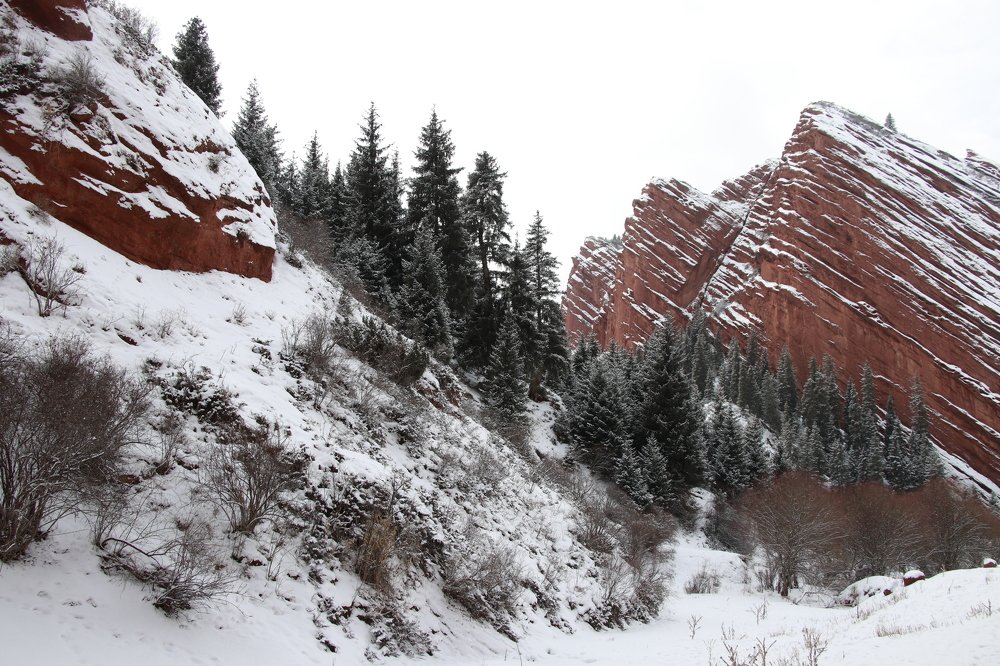 Photograph by Виктория Пономарева