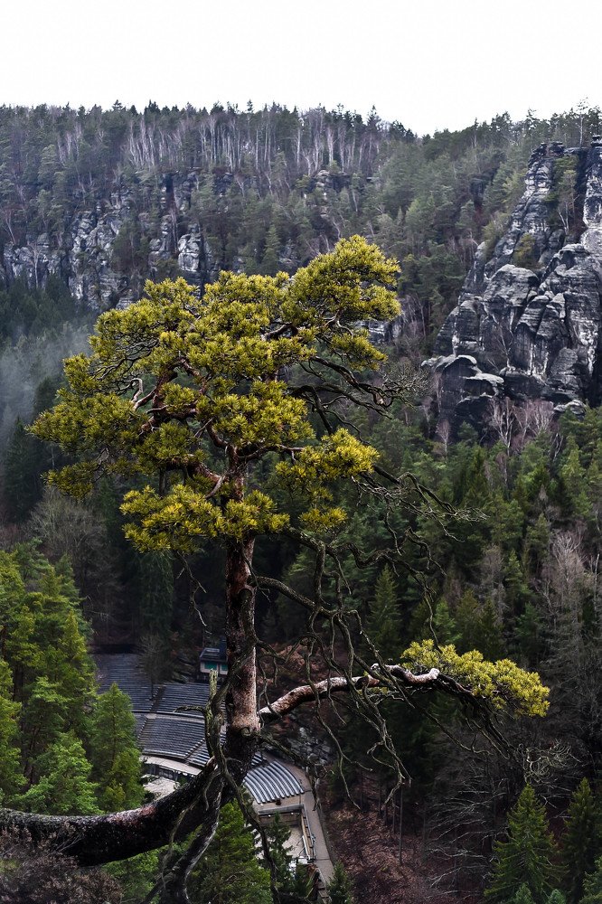 Фотография автора Борисова Мария