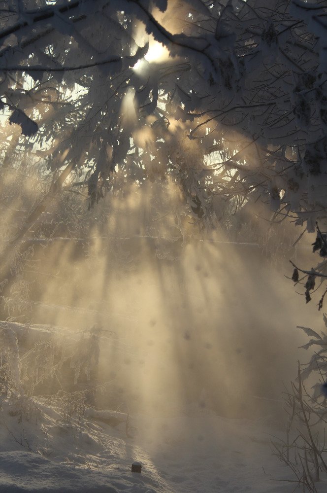 Photograph by Наталья Кузнецова