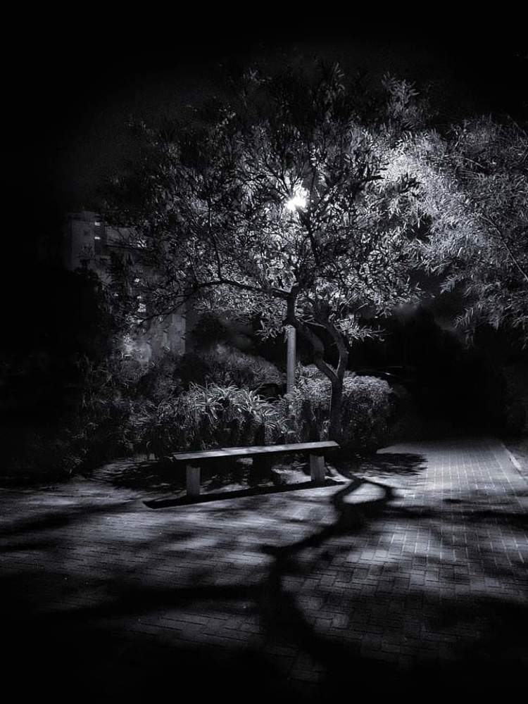 Photograph by Polina Svirida