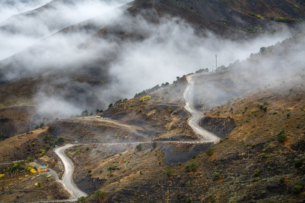 Photograph by Наргиза Кахарова