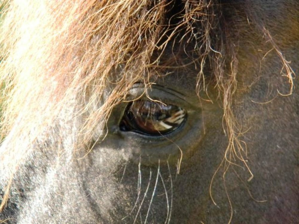 Photograph by Michelle Vaughn