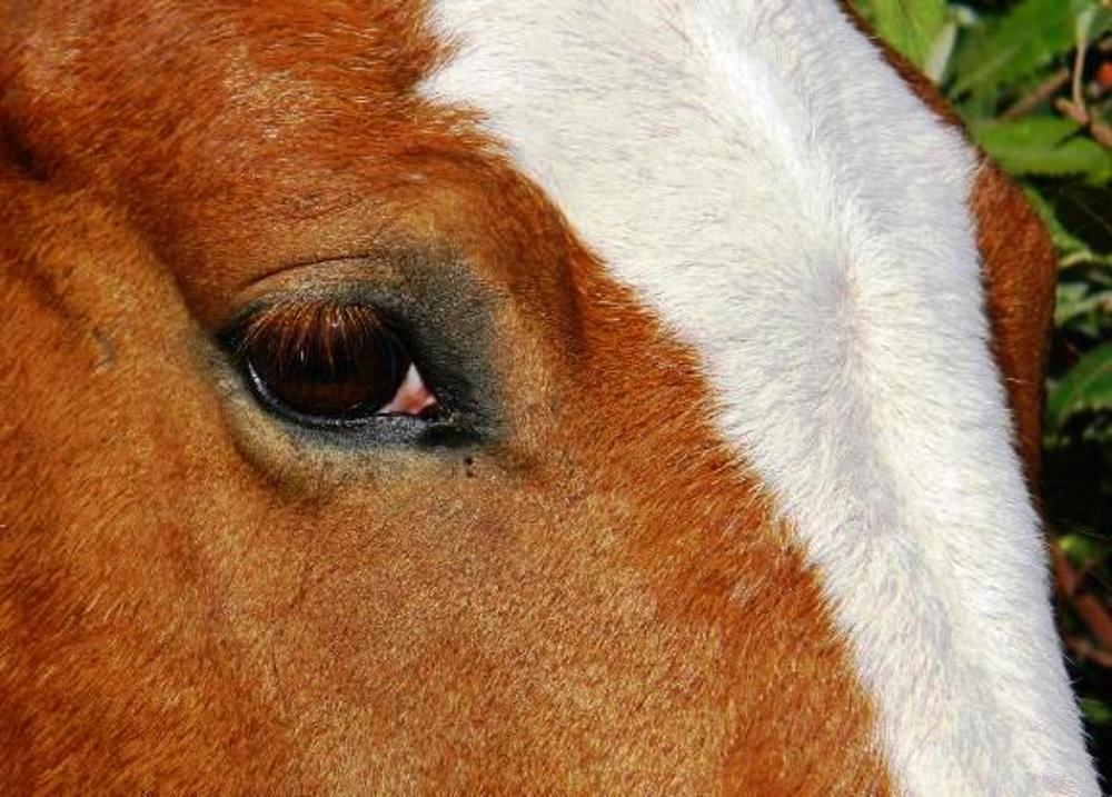 Photograph by Michelle Vaughn