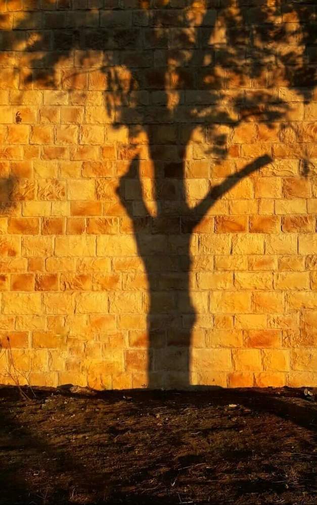 Photograph by Polina Svirida