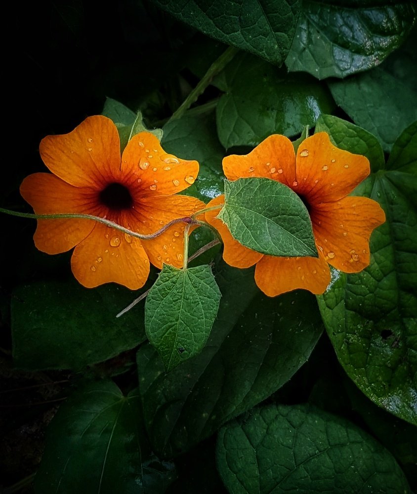 Photograph by Polina Svirida