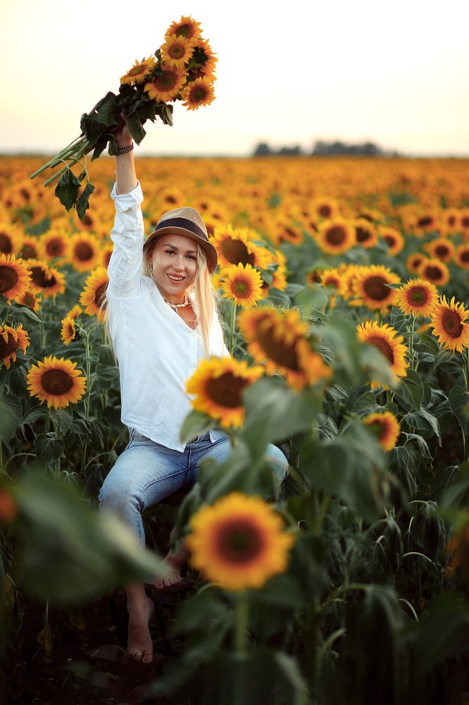 Подсолнухи