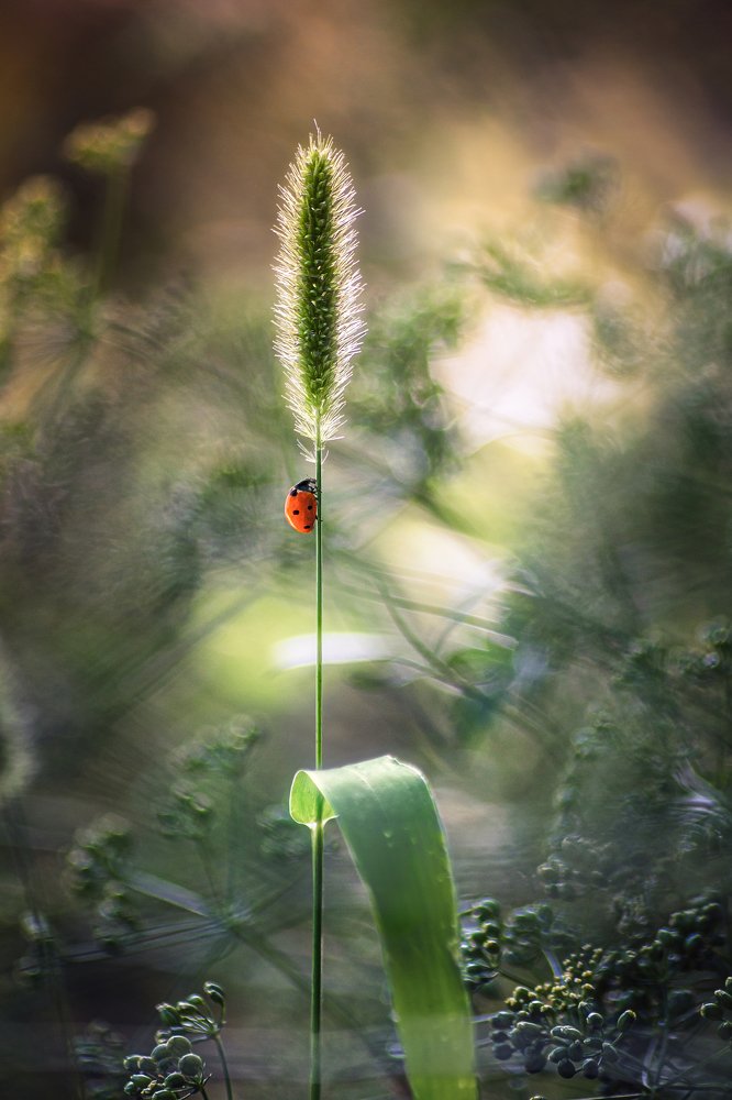 Где-то во Вселенной...