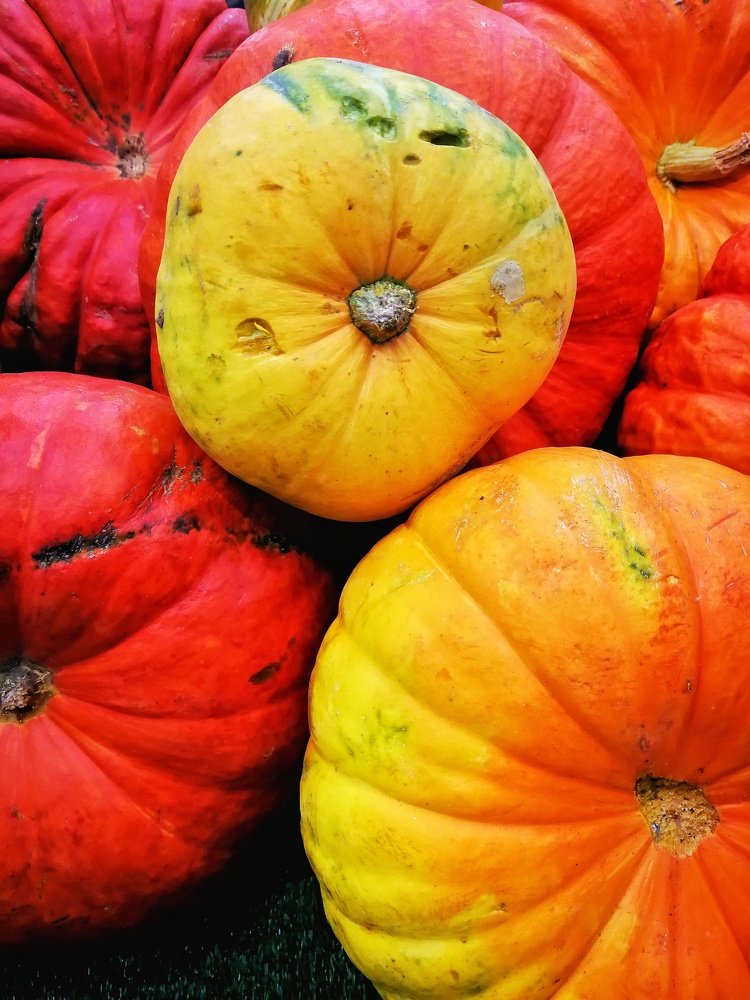 Photograph by Залина Казанцева