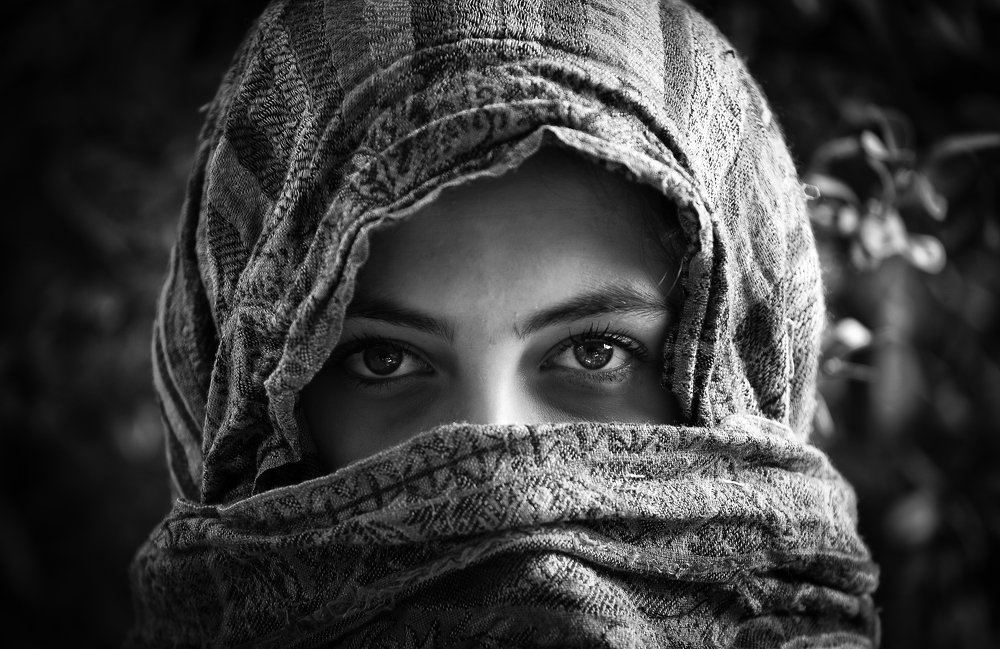 Фотография автора Dmitry Shterenberg